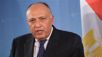 وزير الخارجية يؤكد الموقف المصري الراسخ الداعم للقضية الفلسطينية