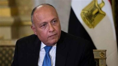 شكري يجتمع مع رئيس شركة بلومبرج العالمية بنيويورك