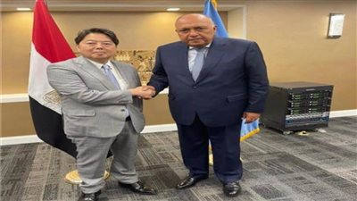 وزير الخارجية يشيد بالطفرة التي شهدتها علاقات التعاون بين مصر واليابان