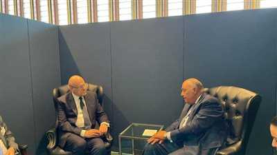 وزير الخارجية يؤكد على أهمية استقرار لبنان في لقائه مع 