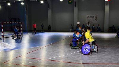 البرازيل تفوز على الهند وسلوفينيا على هولندا