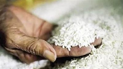 توريد أكثر من 1173 طنا من الأرز الشعير إلى 31 موقعا بالدقهلية