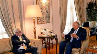 شكري يبحث المستجدات على الساحة الفلسطينية مع المنسق الأممي للسلام في الشرق الأوسط 