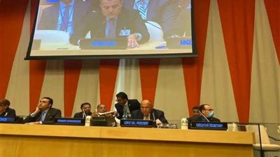 شكري يشارك فى الاجتماع الوزارى لمجموعة الـ ٧٧ + الصين 