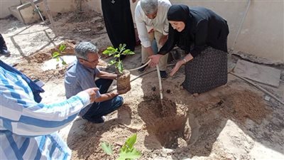 تنفيذ مبادرة 