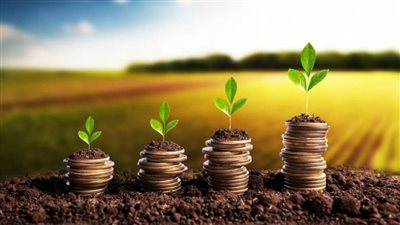 تقرير دولي: مصر ونيجيريا وكينيا تستحوذ على 90% من استثمارات التكنولوجيا الزراعية في إفريقيا