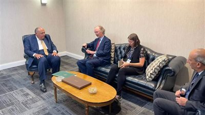 شكري يؤكد على أهمية الدفع بالحل السياسي في سوريا  