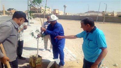 تطهير مجرى السيل وغرف تصريف الأمطار بالعريش  