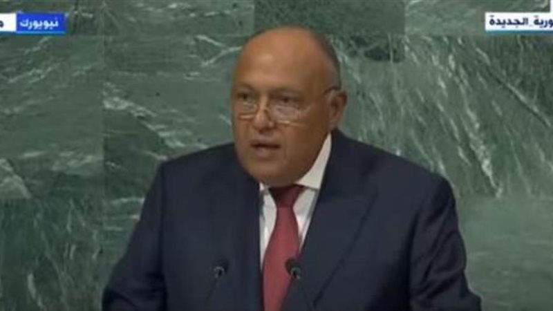 وزير الخارجية سامح