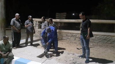 رئيس الحسنة: زراعة 300 شجرة في الطرق والميادين والشوارع  