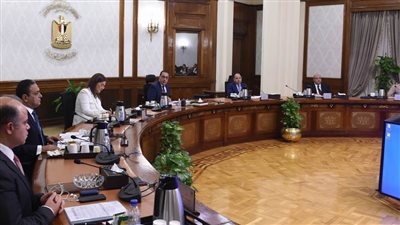 مدبولي يتابع إجراءات إعادة هيكلة شركات تابعة لـ 