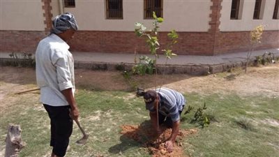 بدء تنفيذ مبادرة : زراعة 100 مليون شجرة في مركز شباب نخل