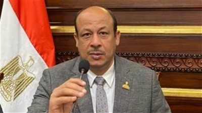 برلماني: الرئيس السيسي حريص دائمًا على دعم الاستثمار والمستثمرين
