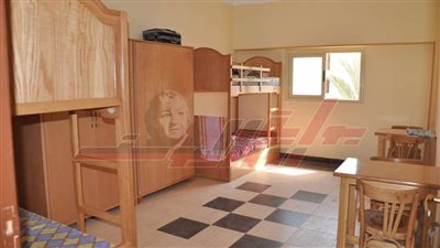 الدسوقي: يكشف لـ