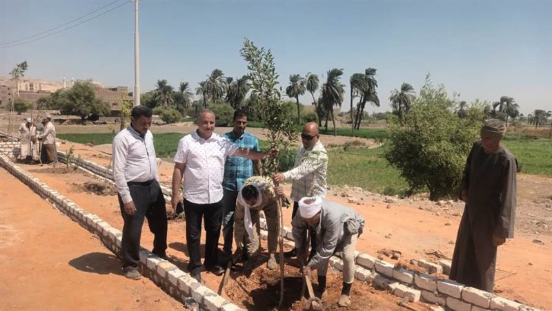 حملات تشجير ونظافة