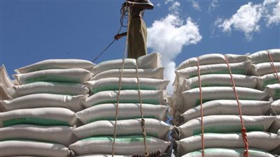 في 25 معلومة.. ما هى مبادرة حبوب البحر الأسود؟ وكيف يمكنها إنقاذ العالم من الجوع