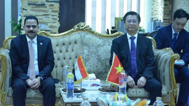 حزب مستقبل وطن