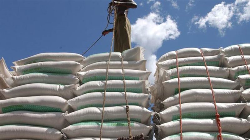 حبوب البحر الأسود