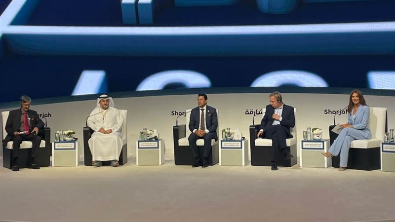 د. أشرف صبحى