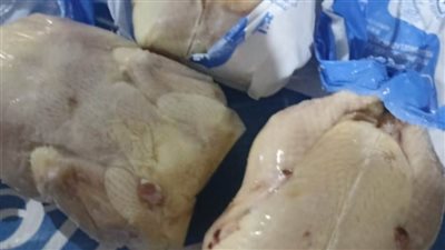 محافظ أسيوط: ضبط 16.5 طن لحوم ودواجن مجمدة غير صالحة للاستهلاك 