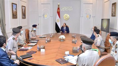 الرئيس السيسي يوجه باستكمال جهود زيادة مساحات استصلاح الأراضي في منطقة توشكى