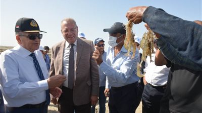 رئيس هيئة قناة السويس يتابع حصاد الأحواض المستزرعة بشركة قناة السويس