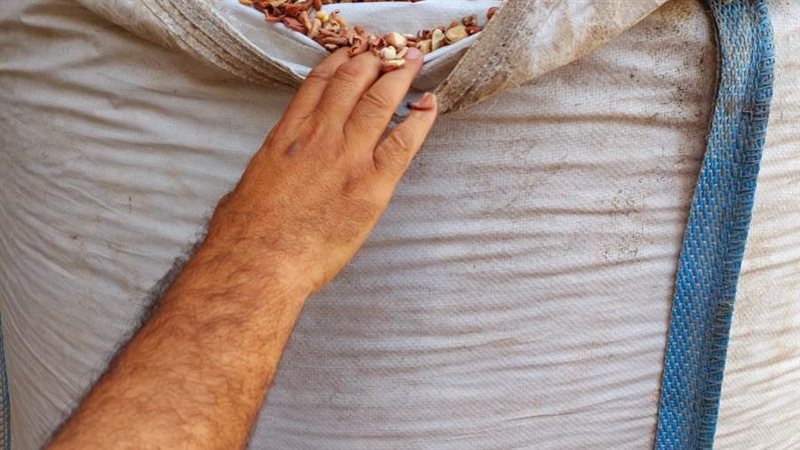 جانب من المضبوطات