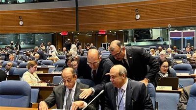 مصر تنجح في الفوز بانتخابات مجلس المنظمة الدولية للطيران المدني عن الفئة الثانية