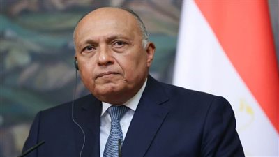 وزير الخارجية يؤكد الأهمية التي توليها مصر لعلاقتها مع ألمانيا كشريك سياسي واقتصادي