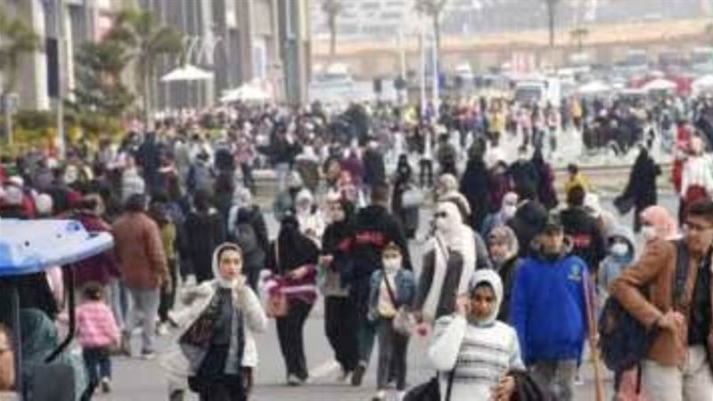 عدد سكان مصر يبلغ