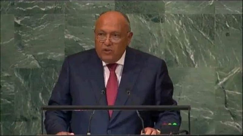 وزير الخارجية