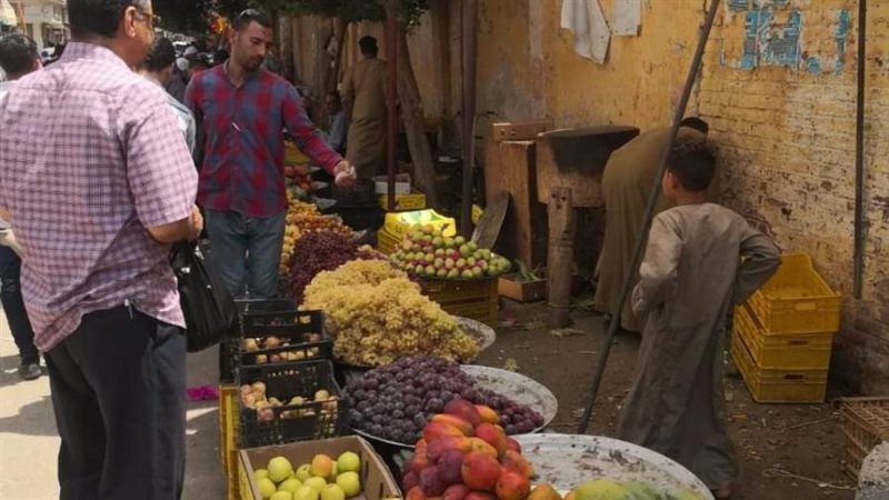 حملات تموينية متنوعة