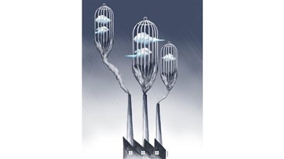 #الريشة_في_مواجهة_التغيرات_المناخية 