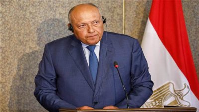 وزير الخارجية يعقد مباحثات مع رئيس وزراء الكونغو الديموقراطية بكينشاسا