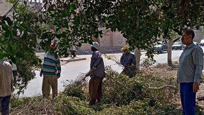 نشاط مُكثَّف لجهاز التطوير والتجميل بالتعاون مع حي ثان الإسماعيلية