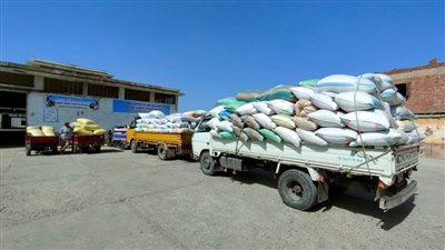 حصاد الخير.. توريد 5301 طن أرز لشون ومخازن البحيرة
