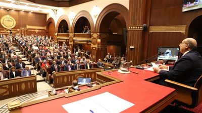مجلس الشيوخ يعلن تشكيل هيئة مكاتب لجانه النوعية