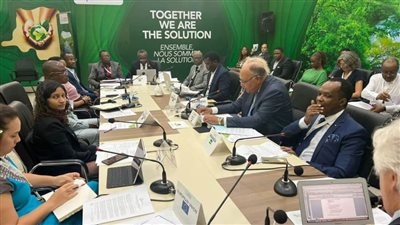 شكري يؤكد ضرورة تجديد المساهمات المُحددة وطنيًا لتعزيز خطة عمل التخفيف من آثار المناخ