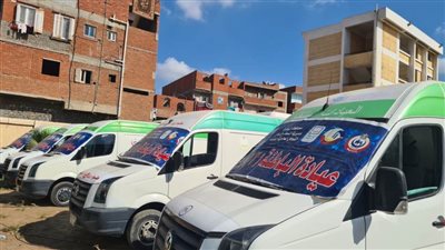 الكشف على 2058 مواطنًا فى قافلة طبية مجانية بقرية جنبواي بالبحيرة