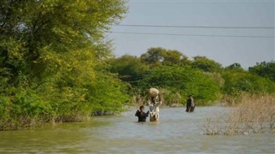 اليونيسيف تحذر من المزيد من وفيات الأطفال في باكستان