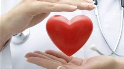 علماء أمريكيون يتوصلون إلى بروتين يمكن أن يشفي عضلة القلب المتضررة