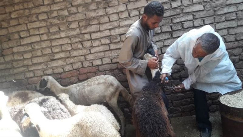 الحملة القومية للتحصين