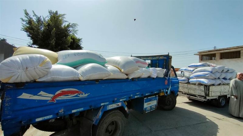 توريد الأرز لشون