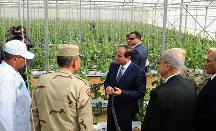 مصر الجمهورية والملكية في الميزان.. زراعياً