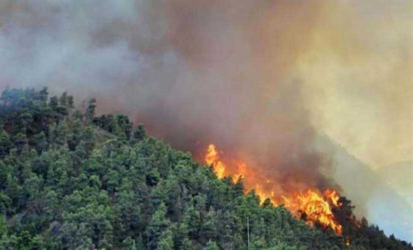 بوابة روز اليوسف إجلاء أكثر من 50 ألف شخص جراء حرائق الغابات في