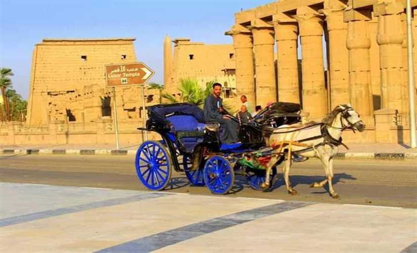لو رأها العزبي لعاد يغنى .. الأقصر بلدنا بلد سواح فيها الأجانب تتفسح