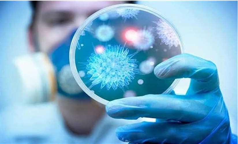 ارتفاع الإصابات بفيروس "كورونا" في أستراليا إلى 4 حالات