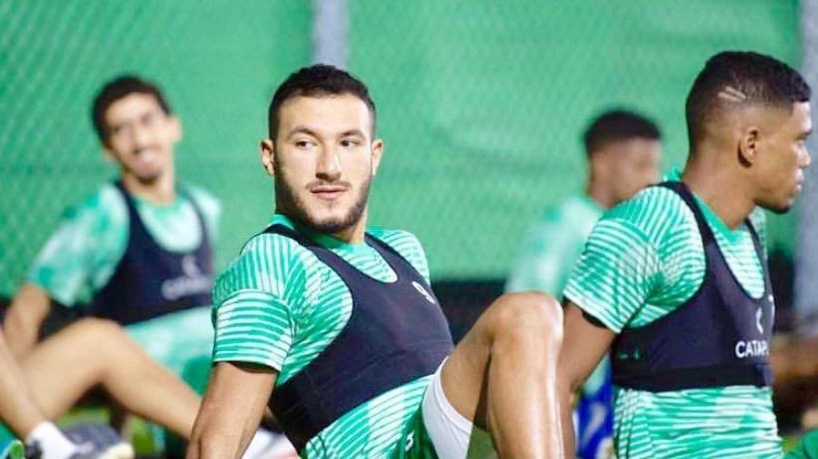 عمرو رضا