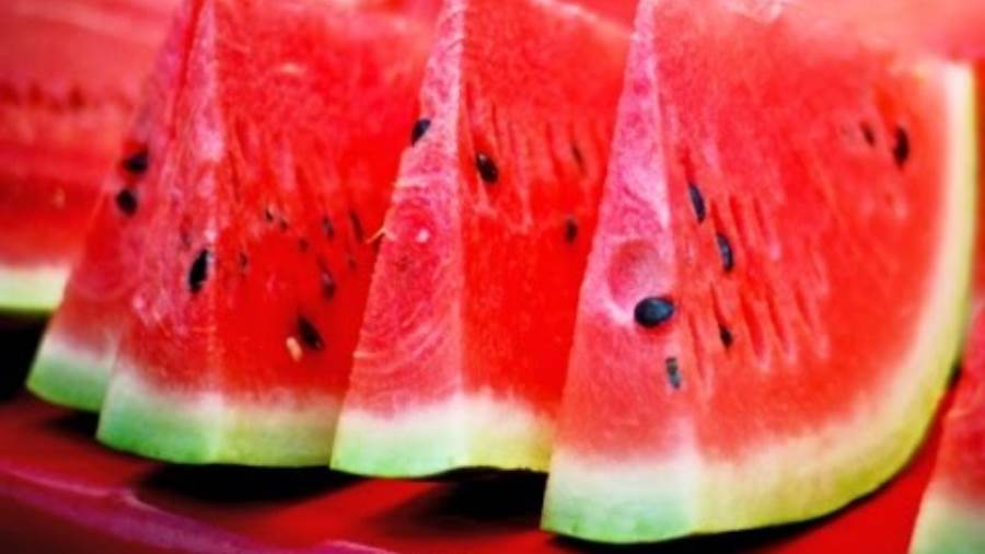بوابة روز اليوسف 5 أنواع من الفاكهة لا غنى عنها في الصيف
