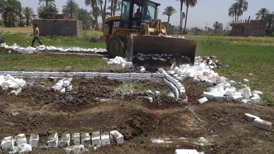 إزالة 278 حالة تعد على الأراضي الزراعية